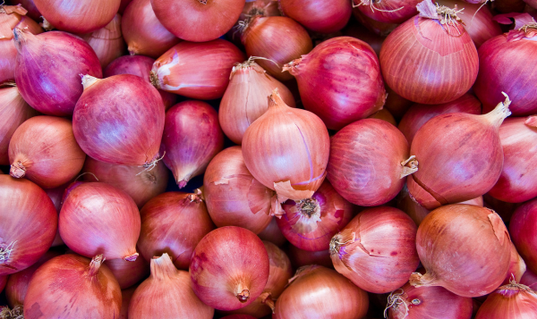 Onion Export