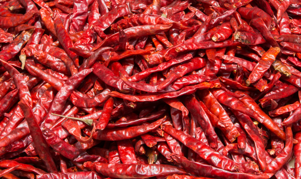 Red Chilli Export
